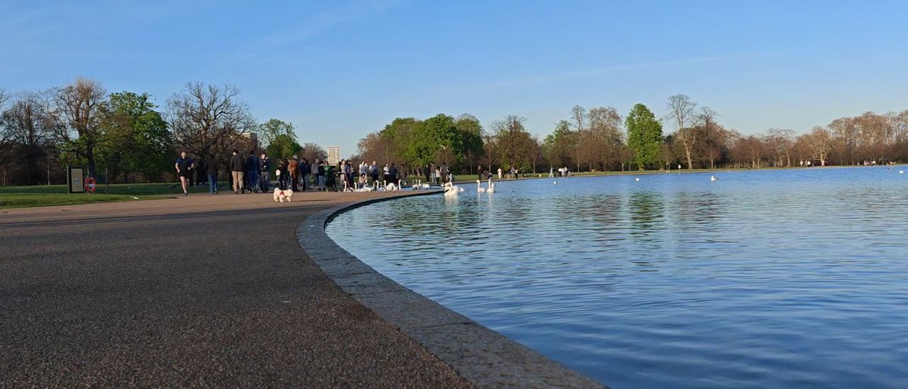 A large still pool with a stone edge, trees on the far side under a clear blue sky